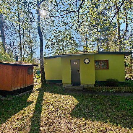 Lesna Ostoja W Centrum Puszczy Nadnoteckiej Otoczona 3 Jeziorami Miedzychod Экстерьер фото