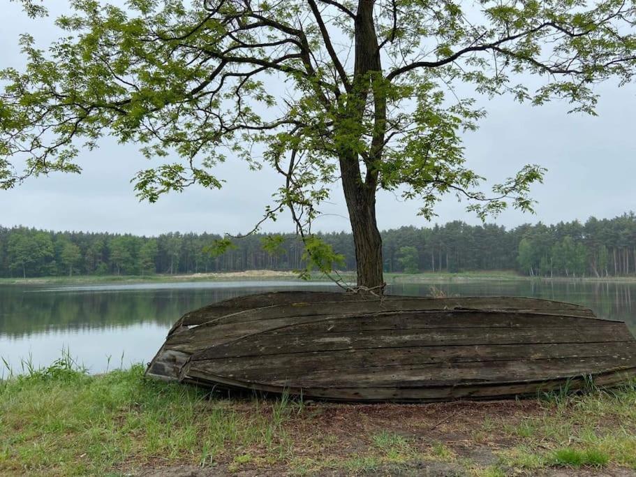 Lesna Ostoja W Centrum Puszczy Nadnoteckiej Otoczona 3 Jeziorami Miedzychod Экстерьер фото