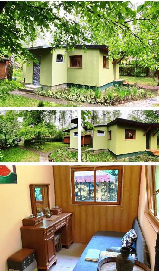 Lesna Ostoja W Centrum Puszczy Nadnoteckiej Otoczona 3 Jeziorami Miedzychod Экстерьер фото